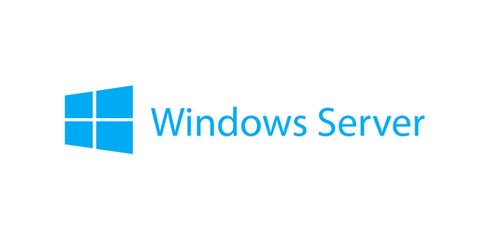 Lenovo Windows Server 2019 Client Access License (CAL) 5 license(s)