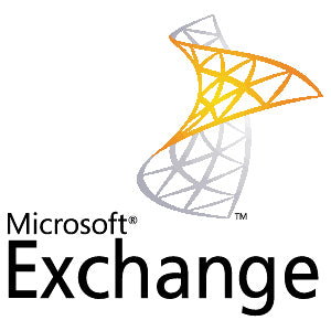 Microsoft Exchange Online Plan 2 Open Value Subscription (OVS) 1 license(s) Multilingual 1 month(s)