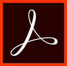 Adobe Acrobat Pro DC 1 license(s) License English