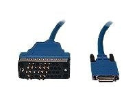 Cisco Router cable - M/34 (V.35) (M) (M) - 3 m networking cable Blue