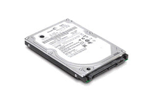 IBM 49Y3727 internal hard drive 3.5" 300 GB