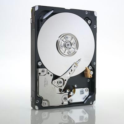 IBM 49Y2078 internal hard drive 2.5" 600 GB SAS